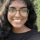 Likhita Tinga